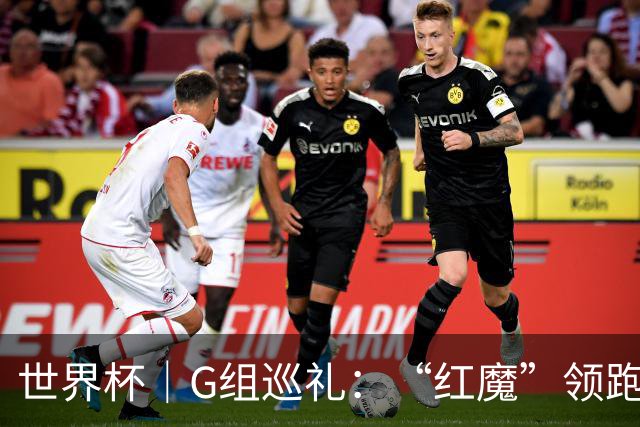 世界杯｜G组巡礼：“红魔”领跑，三队逐鹿