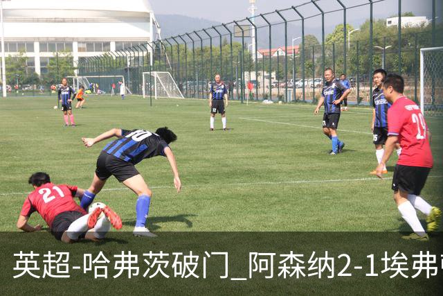 英超-哈弗茨破门 阿森纳2-1埃弗顿屈居亚军