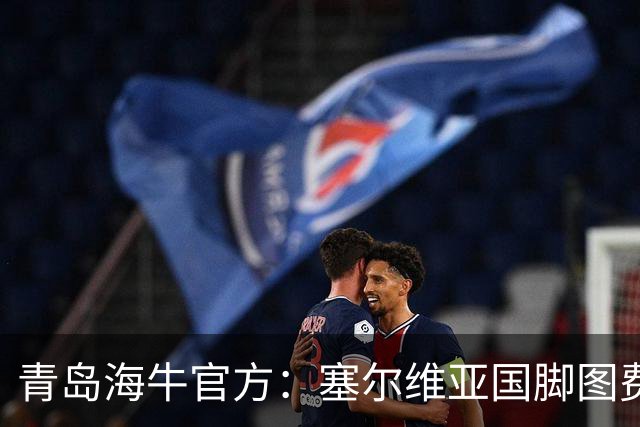 青岛海牛官方：塞尔维亚国脚图费格季奇加盟球队