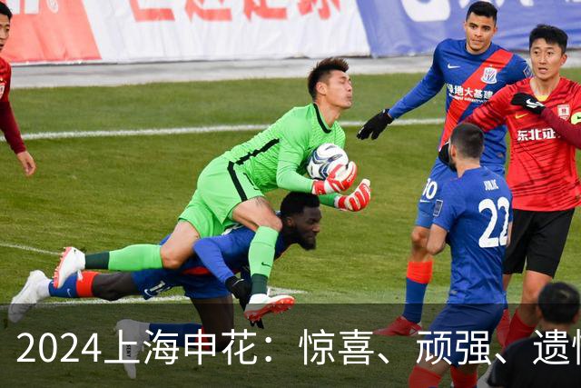 2024上海申花：惊喜、顽强、遗憾--明年拿冠军