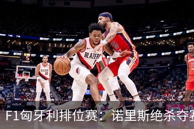 F1匈牙利排位赛：诺里斯绝杀夺赛季正赛首杆，汉密尔顿第二